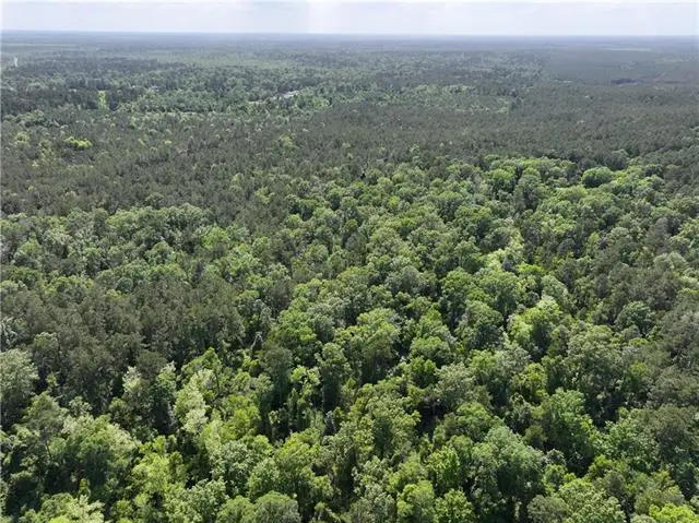 Elmore Mckigney Ln Lane, Springfield, LA 70462 - #1