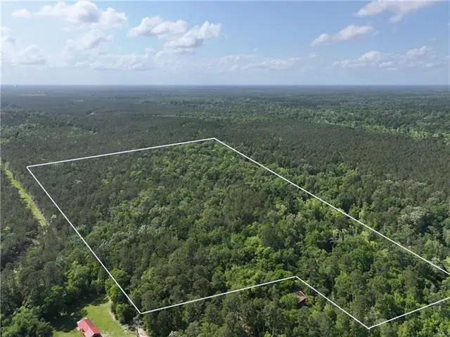 Elmore Mckigney Ln Lane, Springfield, LA 70462 - #2