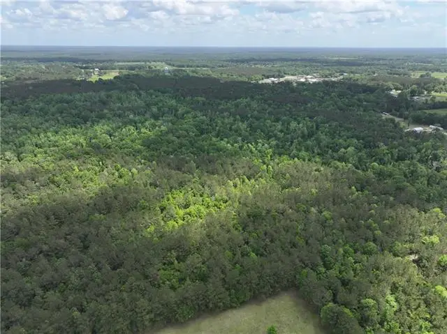 Ellis Blvd Boulevard, Loranger, LA 70446 - #2