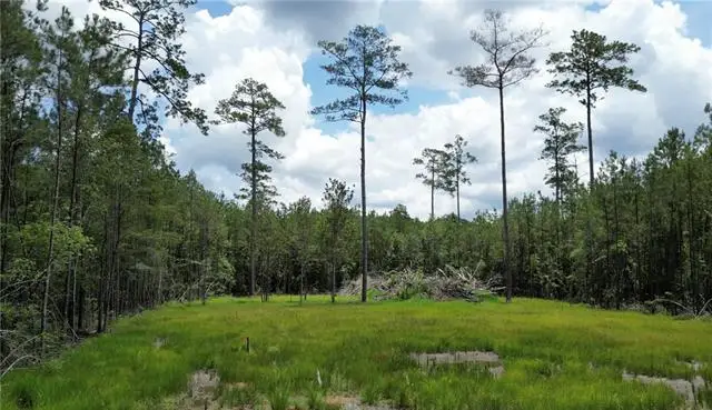 35072 La-43 Highway, Independence, LA 70443 - #3