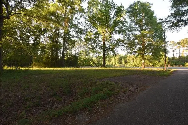 001 Wilson Lane, Pearl River, LA 70452 - #1