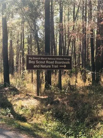 0 Paquet Road, Lacombe, LA 70445 - #3