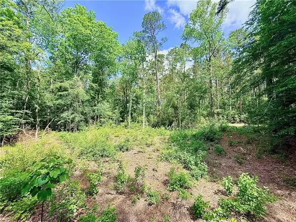 87474 Vineyard Road, Folsom, LA 70437