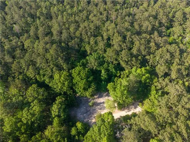 22251 Leemans Road, Abita Springs, LA 70420 - #1