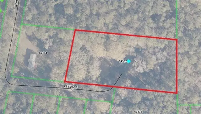 22251 Leemans Road, Abita Springs, LA 70420 - #2