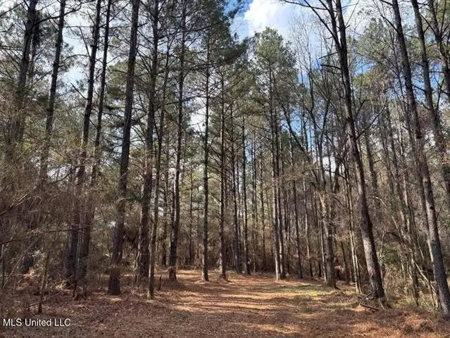 Hwy 438, Franklinton, LA 70438 - #2