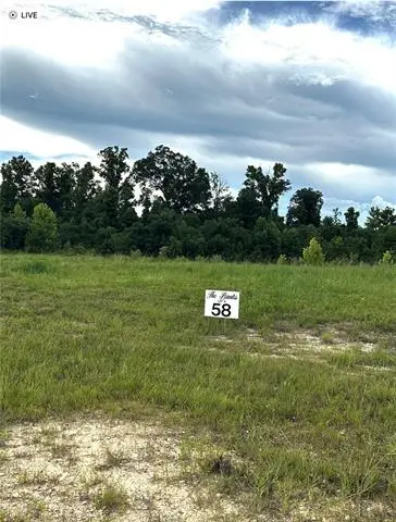 Lot 58 The Banks Drive - Hwy 16 Highway, Franklinton, LA 70438