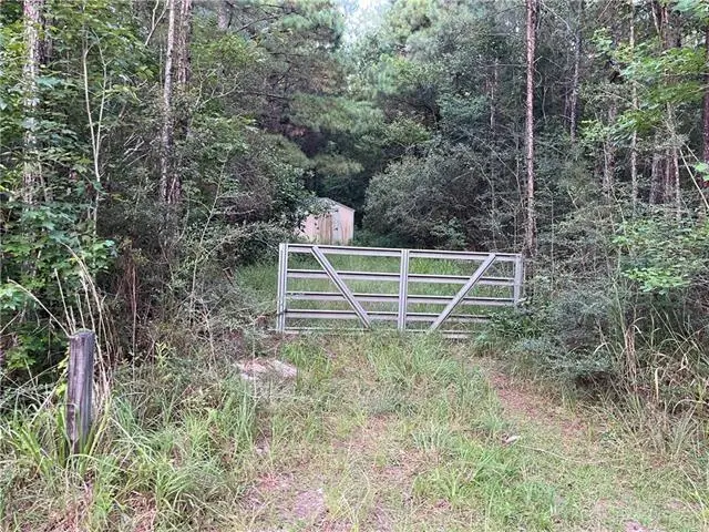 N Mill Road, Lacombe, LA 70445 - #1