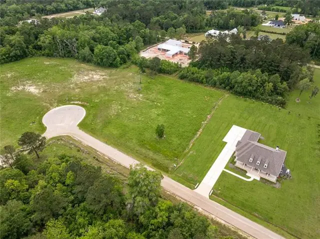 12568 Goldentop Drive, Covington, LA 70433 - #2