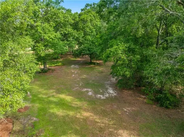 Trailhead Drive, Abita Springs, LA 70420 - #1