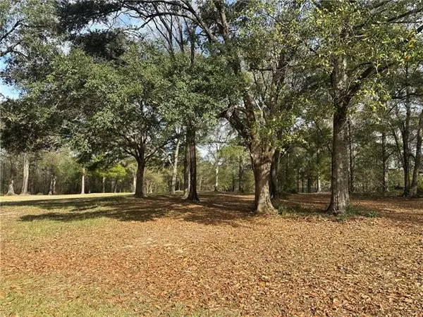 Trailhead Drive, Abita Springs, LA 70420