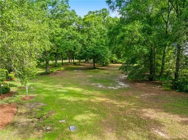 Trailhead Drive, Abita Springs, LA 70420 - #2