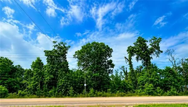 11097 La-22 Highway, Ponchatoula, LA 70454 - #1