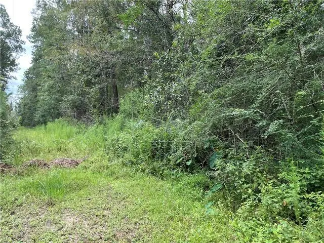 000 Charlie Street, Covington, LA 70433 - #1