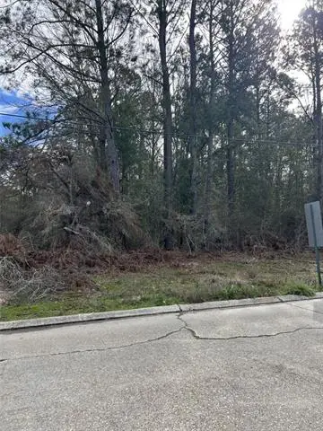 131 Robin Hood Drive, Hammond, LA 70403 - #3