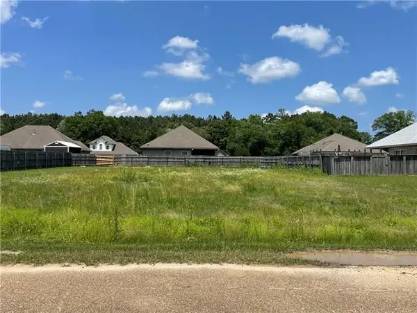 21346 Beau Chateau Boulevard, Ponchatoula, LA 70454