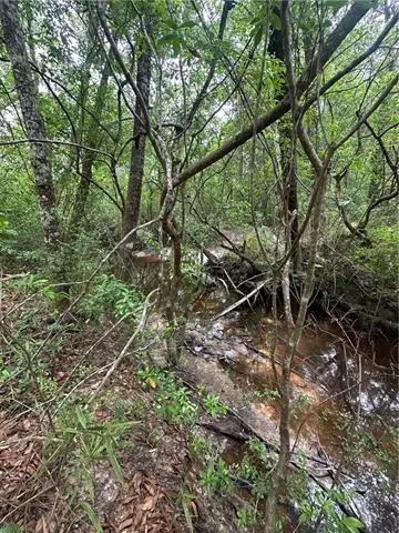 25332 Hwy 435 Highway, Abita Springs, LA 70420 - #3