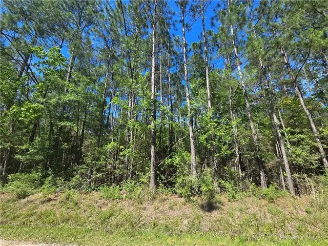 0 Quimet Drive, Abita Springs, LA 70420 - #1
