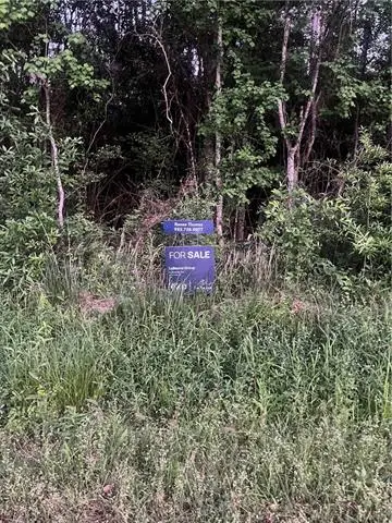 Chapman Drive, Abita Springs, LA 70420 - #1