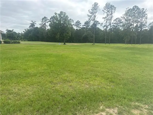 30684 Blue Wing Cresent Other, Springfield, LA 70462 - #1