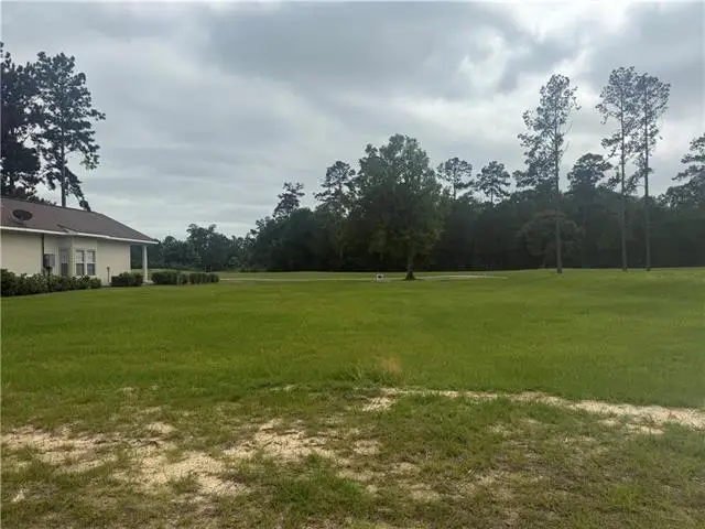 30684 Blue Wing Cresent Other, Springfield, LA 70462 - #2