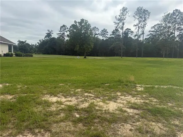 30684 Blue Wing Cresent Other, Springfield, LA 70462 - #3