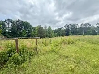35030 Sunny Hill Road, Mount Hermon, LA 70450 - #3