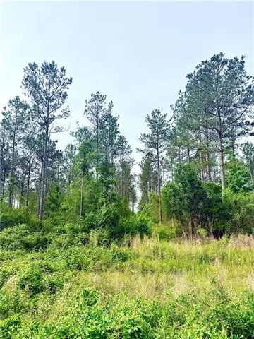 Lot1 TBD Lee Road, Franklinton, LA 70438 - #2