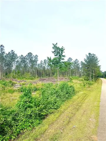 Lot4 TBD Lee Road, Franklinton, LA 70438