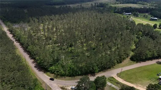 Lot6 TBD Lee Road, Franklinton, LA 70438 - #3