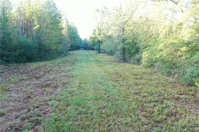 Address Withheld By Seller, Mount Hermon, LA 70450 - #2