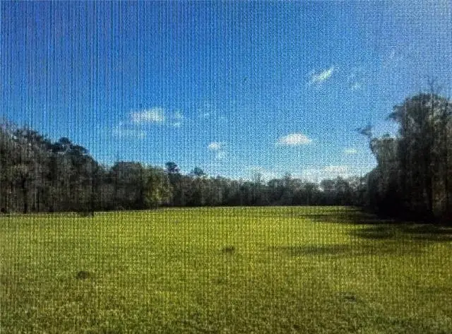 28445 Harper Hill Drive, Independence, LA 70443 - #1