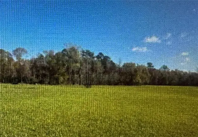 28445 Harper Hill Drive, Independence, LA 70443 - #2
