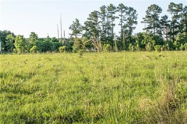 Henry White Road, Albany, LA 70711