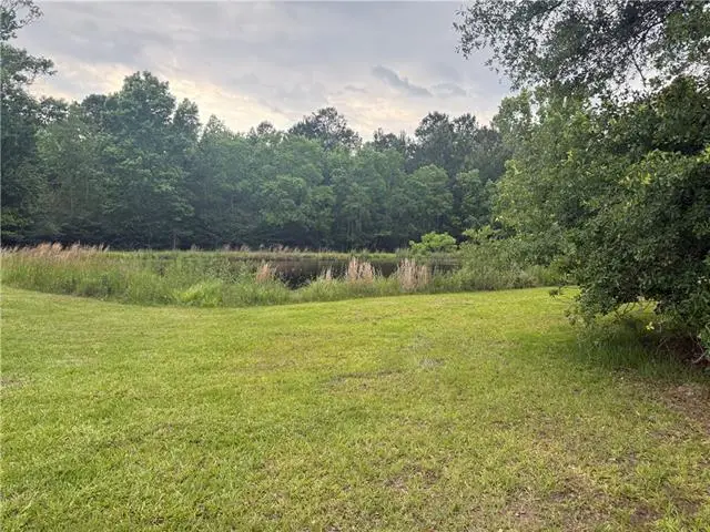 TBD Halbert Road, Amite, LA 70422 - #1