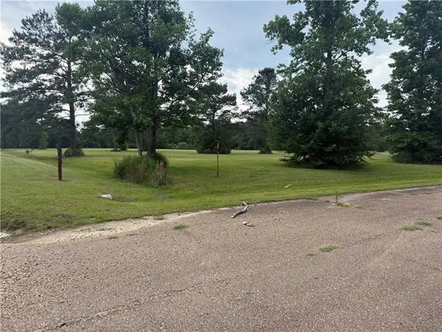 TBD Halbert Road, Amite, LA 70422 - #3