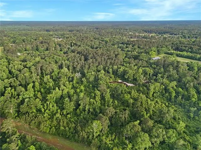 30062 Herman Bankston Road, Albany, LA 70711 - #3