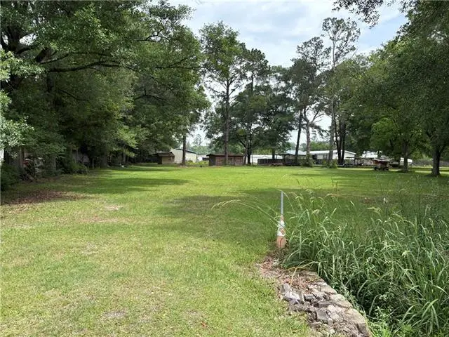 26787 Hwy 42 Highway, Springfield, LA 70462 - #1