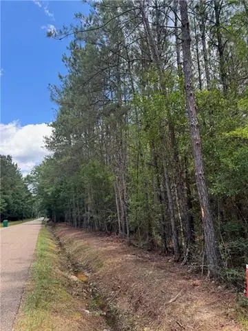 TBD Lavinghouse Road, Bush, LA 70431 - #1