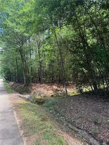 TBD Lavinghouse Road, Bush, LA 70431 - #2