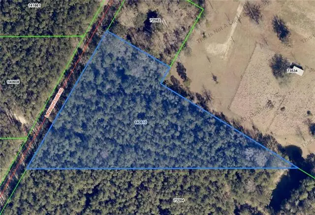 TBD Lavinghouse Road, Bush, LA 70431 - #3