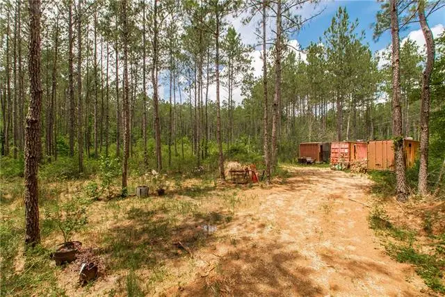 76317 Bob Levy Road, Abita Springs, LA 70420 - #2