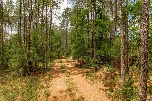 76317 Bob Levy Road, Abita Springs, LA 70420 - #3
