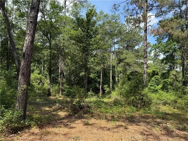 Lot 3 & 7 Robin Road, Franklinton, LA 70438 - #3