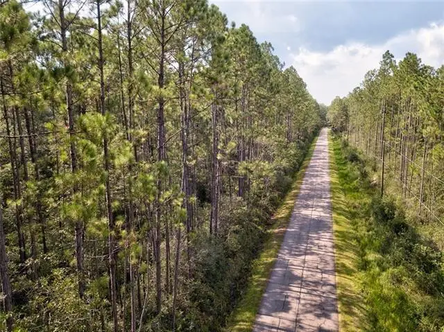 0000 Chris Kennedy (parcel E-4) Road, Pearl River, LA 70452 - #3