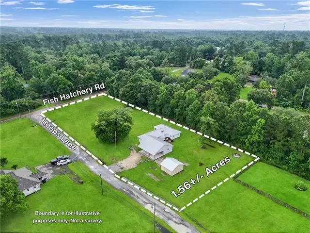 61531 Fish Hatchery Road, Lacombe, LA 70445 - #2