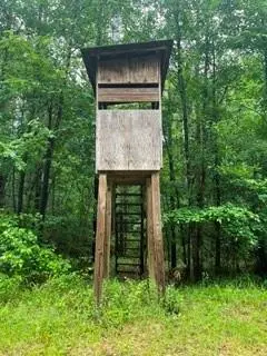 Lowenkamp Lane, Hazlehurst, MS 39083 - #1