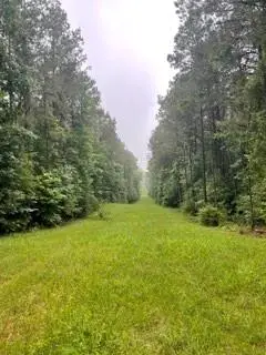 Lowenkamp Lane, Hazlehurst, MS 39083 - #3