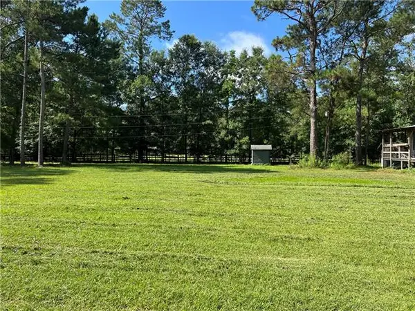 76081 Green Valley Road, Folsom, LA 70437