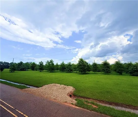 Tract2 John D Wood Road, Franklinton, LA 70438 - #3